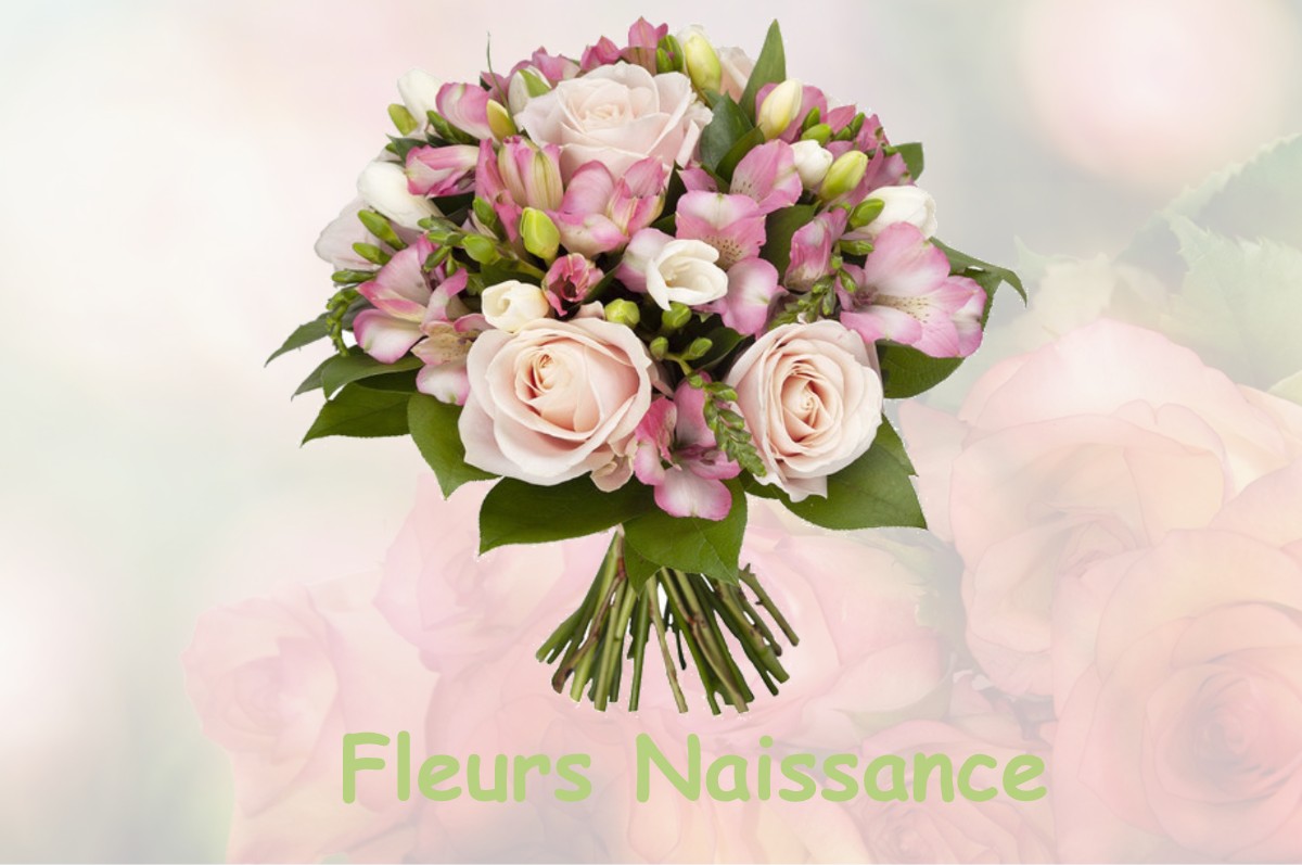 fleurs naissance LA-CROIX-EN-TOURAINE
